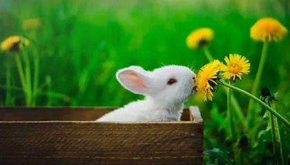 利物浦签约新东家英超联赛，利物浦英超最佳开局